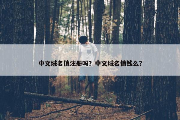 中文域名值注册吗？中文域名值钱么？