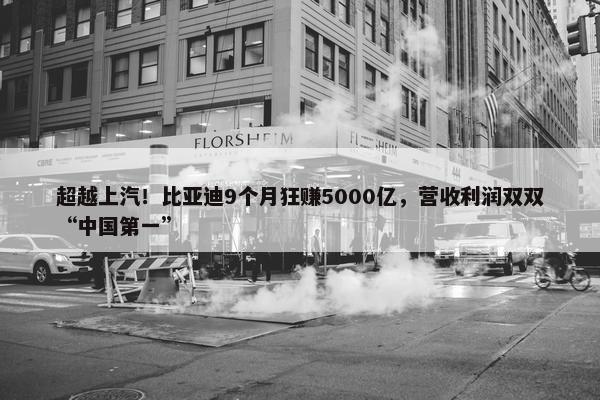 超越上汽！比亚迪9个月狂赚5000亿，营收利润双双“中国第一”