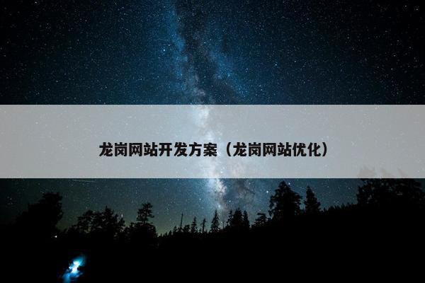 龙岗网站开发方案（龙岗网站优化）