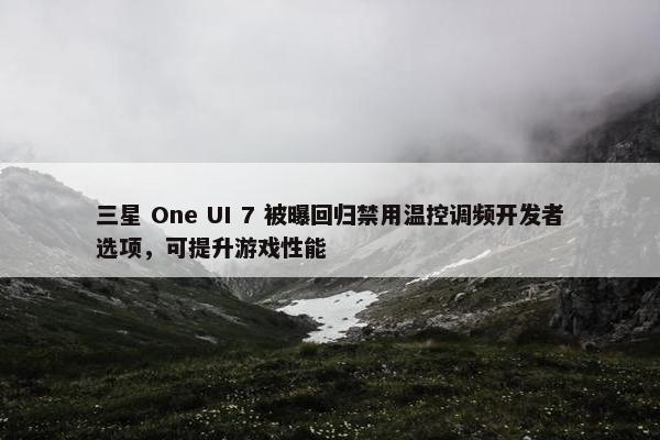 三星 One UI 7 被曝回归禁用温控调频开发者选项，可提升游戏性能