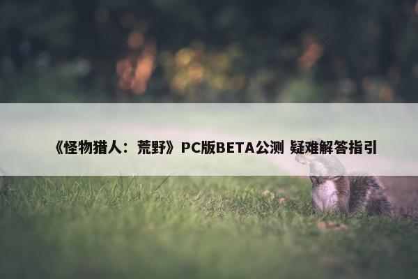 《怪物猎人：荒野》PC版BETA公测 疑难解答指引