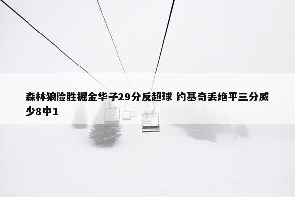 森林狼险胜掘金华子29分反超球 约基奇丢绝平三分威少8中1