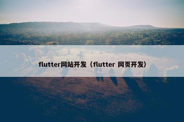 flutter网站开发（flutter 网页开发）