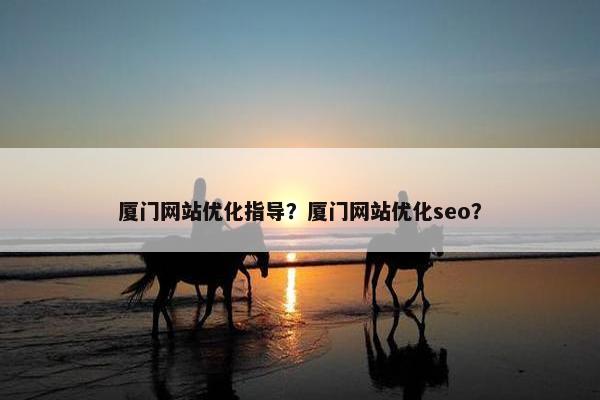 厦门网站优化指导？厦门网站优化seo？