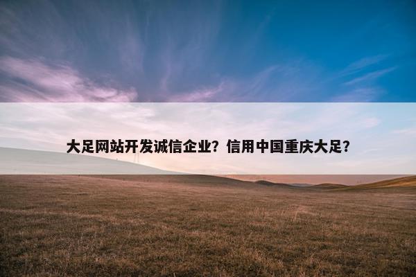 大足网站开发诚信企业？信用中国重庆大足？