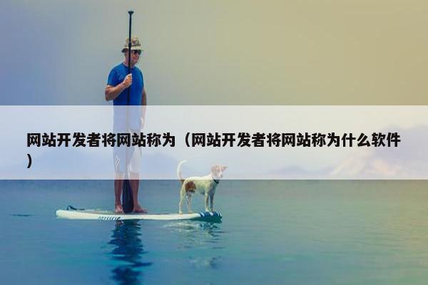 网站开发者将网站称为（网站开发者将网站称为什么软件）