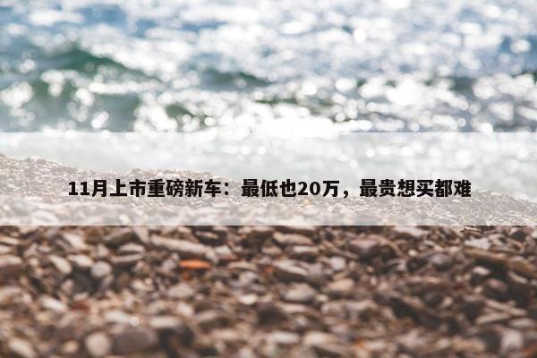 11月上市重磅新车：最低也20万，最贵想买都难