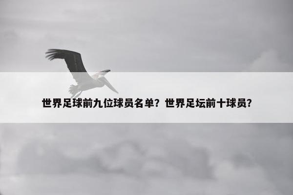 世界足球前九位球员名单？世界足坛前十球员？