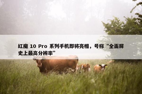 红魔 10 Pro 系列手机即将亮相，号称“全面屏史上最高分辨率”