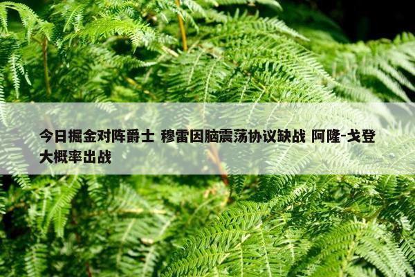 今日掘金对阵爵士 穆雷因脑震荡协议缺战 阿隆-戈登大概率出战