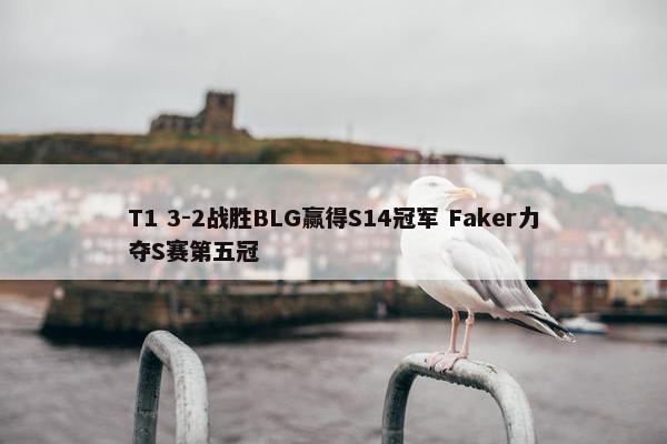 T1 3-2战胜BLG赢得S14冠军 Faker力夺S赛第五冠