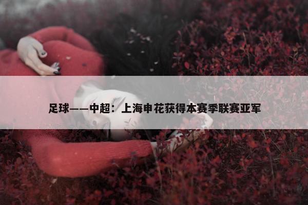 足球——中超：上海申花获得本赛季联赛亚军