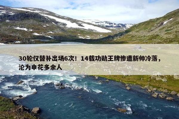 30轮仅替补出场6次！14载功勋王牌惨遭新帅冷落，沦为申花多余人