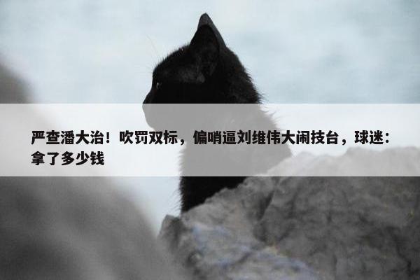 严查潘大治！吹罚双标，偏哨逼刘维伟大闹技台，球迷：拿了多少钱