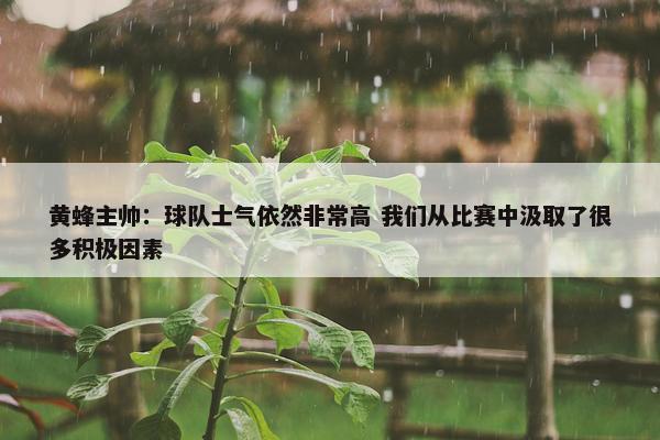 黄蜂主帅：球队士气依然非常高 我们从比赛中汲取了很多积极因素