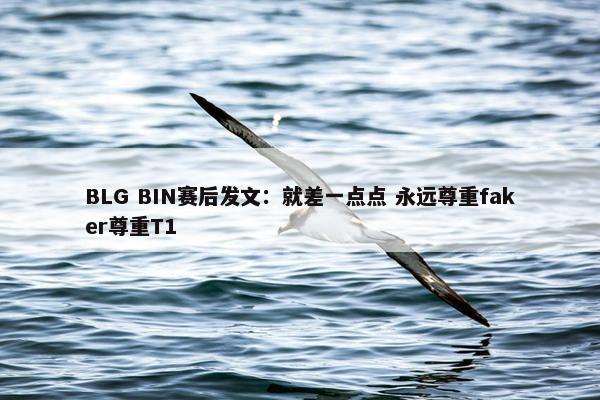 BLG BIN赛后发文：就差一点点 永远尊重faker尊重T1