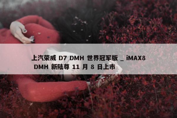 上汽荣威 D7 DMH 世界冠军版 _ iMAX8 DMH 新陆尊 11 月 8 日上市