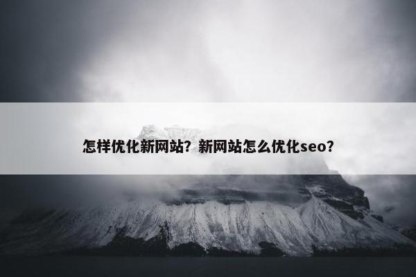 怎样优化新网站？新网站怎么优化seo？