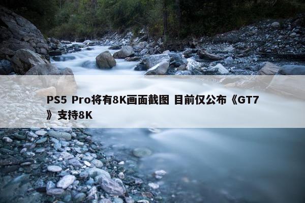 PS5 Pro将有8K画面截图 目前仅公布《GT7》支持8K