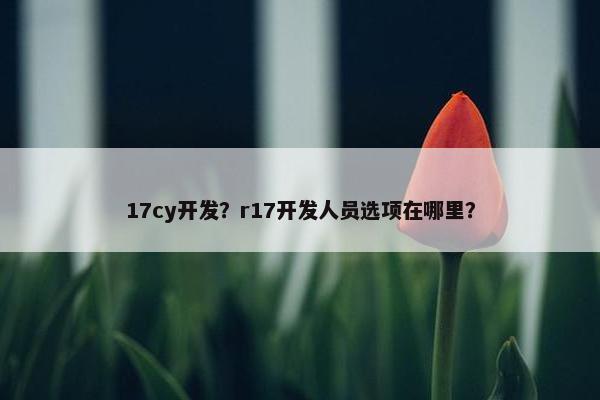 17cy开发？r17开发人员选项在哪里？