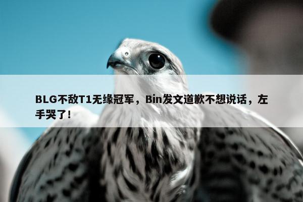 BLG不敌T1无缘冠军，Bin发文道歉不想说话，左手哭了！