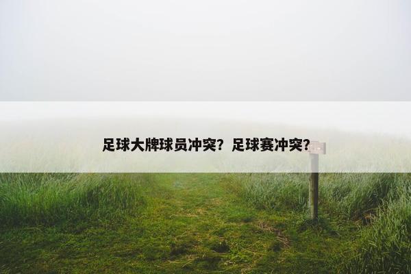 足球大牌球员冲突？足球赛冲突？