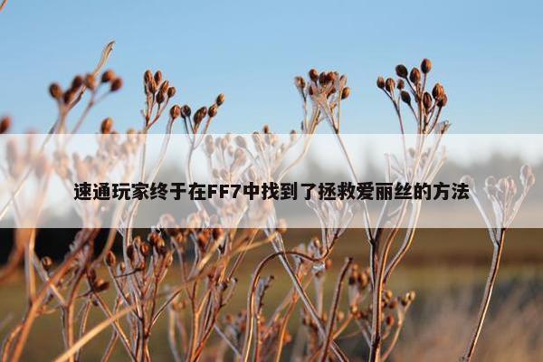 速通玩家终于在FF7中找到了拯救爱丽丝的方法