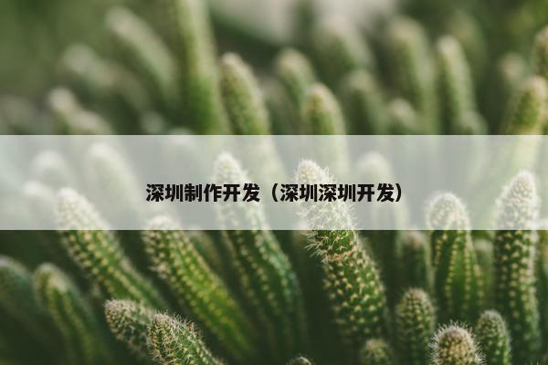 深圳制作开发（深圳深圳开发）