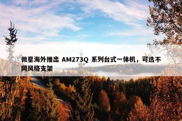 微星海外推出 AM273Q 系列台式一体机，可选不同风格支架