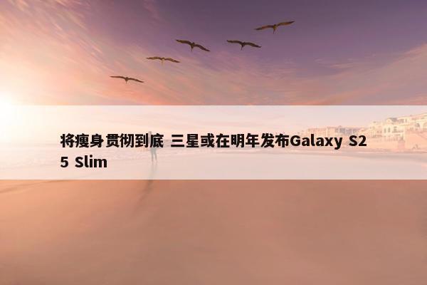 将瘦身贯彻到底 三星或在明年发布Galaxy S25 Slim