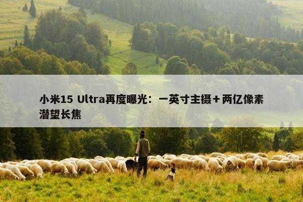 小米15 Ultra再度曝光：一英寸主摄＋两亿像素潜望长焦