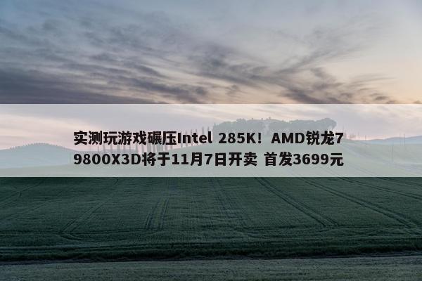 实测玩游戏碾压Intel 285K！AMD锐龙7 9800X3D将于11月7日开卖 首发3699元