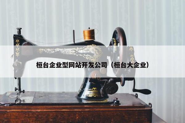 桓台企业型网站开发公司（桓台大企业）