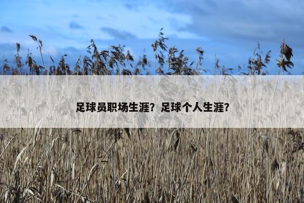 足球员职场生涯？足球个人生涯？