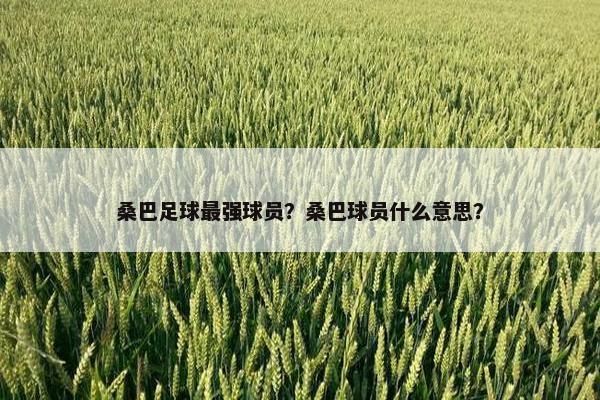 桑巴足球最强球员？桑巴球员什么意思？