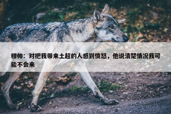 穆帅：对把我带来土超的人感到愤怒，他说清楚情况我可能不会来