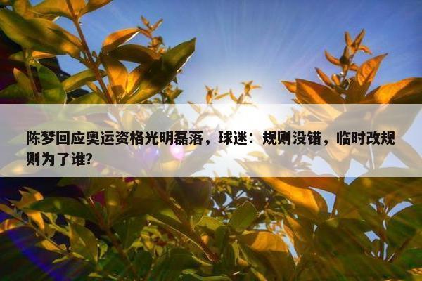 陈梦回应奥运资格光明磊落，球迷：规则没错，临时改规则为了谁？