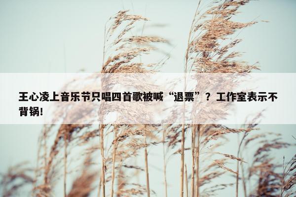 王心凌上音乐节只唱四首歌被喊“退票”？工作室表示不背锅！