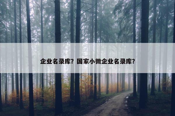 企业名录库？国家小微企业名录库？