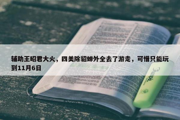 辅助王昭君大火，四美除貂蝉外全去了游走，可惜只能玩到11月6日