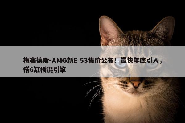 梅赛德斯-AMG新E 53售价公布！最快年底引入，搭6缸插混引擎