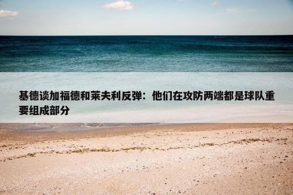 基德谈加福德和莱夫利反弹：他们在攻防两端都是球队重要组成部分