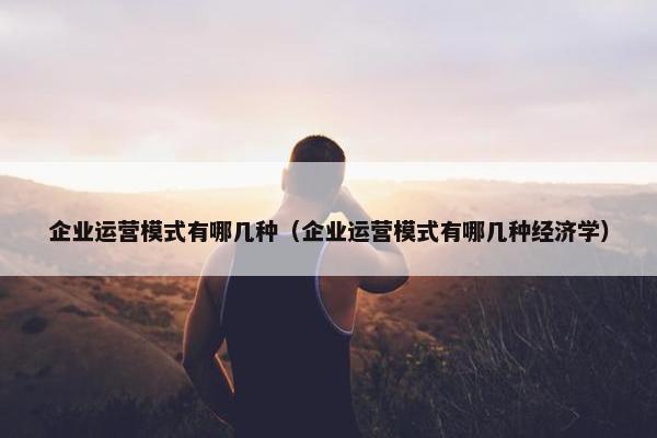 企业运营模式有哪几种（企业运营模式有哪几种经济学）