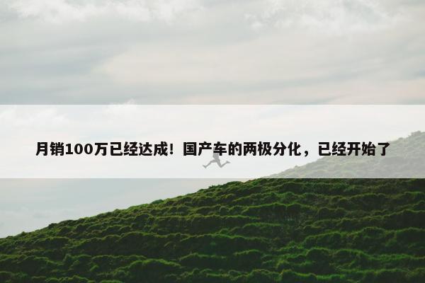 月销100万已经达成！国产车的两极分化，已经开始了