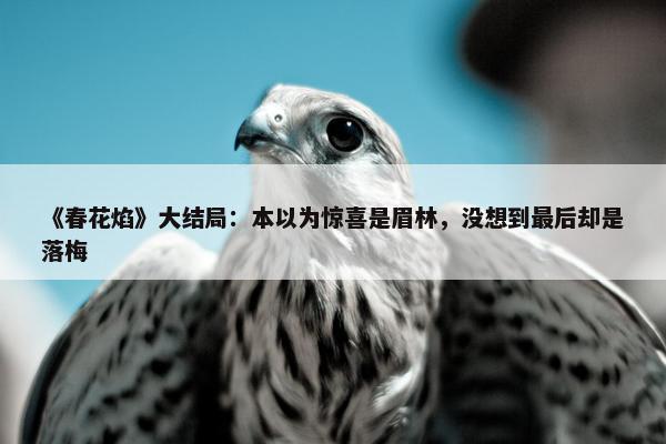 《春花焰》大结局：本以为惊喜是眉林，没想到最后却是落梅