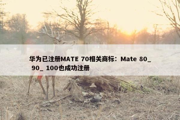 华为已注册MATE 70相关商标：Mate 80_ 90_ 100也成功注册