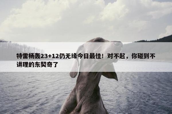 特雷杨轰23+12仍无缘今日最佳！对不起，你碰到不讲理的东契奇了