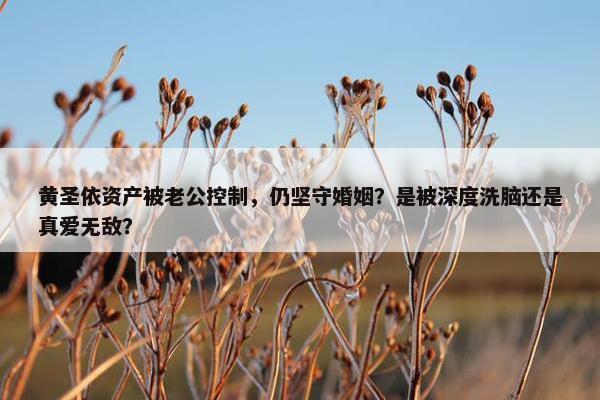 黄圣依资产被老公控制，仍坚守婚姻？是被深度洗脑还是真爱无敌？