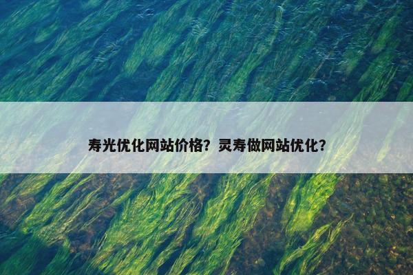 寿光优化网站价格？灵寿做网站优化？