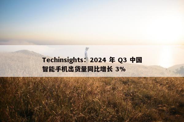 Techinsights：2024 年 Q3 中国智能手机出货量同比增长 3%